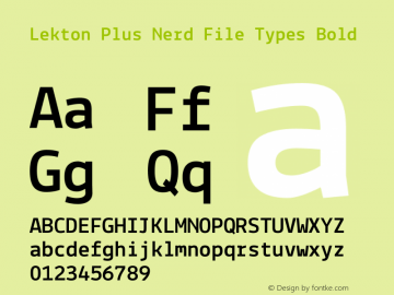 Lekton Plus Nerd File Types Bold Version 34.000图片样张