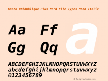Knack BoldOblique Plus Nerd File Types Mono Italic Version 2.009;PS 002.009;hotconv 1.0.70;makeotf.lib2.5.58329 Font Sample