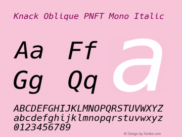 Knack Oblique PNFT Mono Italic Version 2.009;PS 002.009;hotconv 1.0.70;makeotf.lib2.5.58329 Font Sample
