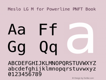 Meslo LG M for Powerline PNFT Book 1.210图片样张