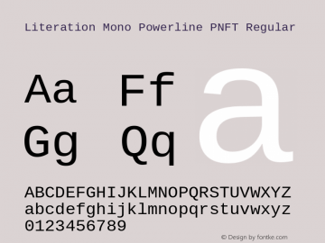 Literation Mono Powerline PNFT Regular Version 2.00.1图片样张