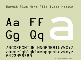 Hurmit Plus Nerd File Types Medium Version 1.21;Nerd Fonts 0.5.图片样张