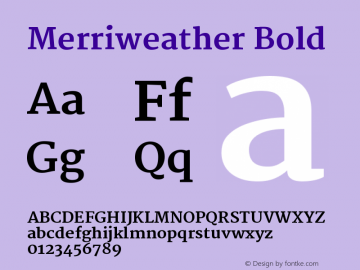 Merriweather Bold Version 1.003 Font Sample