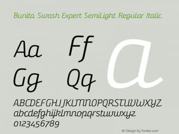 Bunita Swash Expert SemiLight Regular Italic Version 1.141图片样张