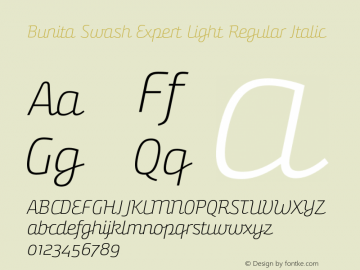 Bunita Swash Expert Light Regular Italic Version 1.141图片样张