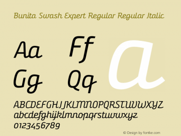 Bunita Swash Expert Regular Regular Italic Version 1.141图片样张