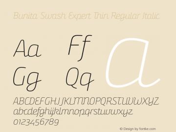 Bunita Swash Expert Thin Regular Italic Version 1.141 Font Sample