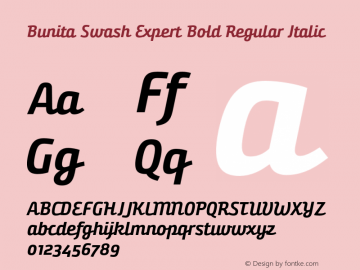 Bunita Swash Expert Bold Regular Italic Version 1.141图片样张