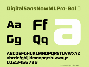 DigitalSansNowMLPro-Bol ☞ Version 1.000;com.myfonts.easy.ef.digital-sans-now.ml-bold.wfkit2.version.4sW9 Font Sample