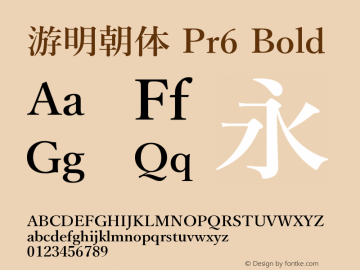 游明朝体 Pr6 Bold Version 1.1图片样张