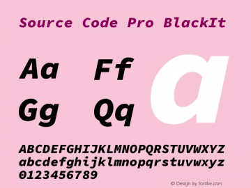 Source Code Pro BlackIt Version 1.0 Font Sample