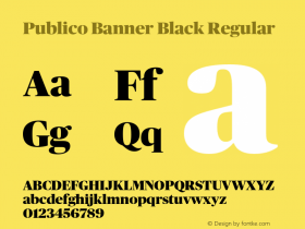 Publico Banner Black Regular Version 1.001 2010图片样张