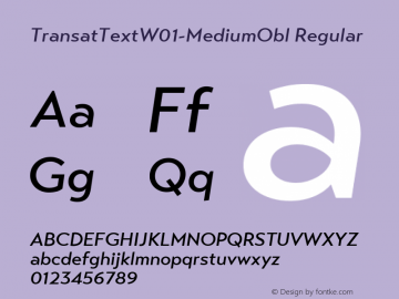 TransatTextW01-MediumObl Regular Version 1.00 Font Sample