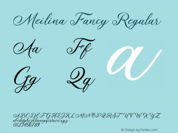 Meilina Fancy Regular 1.000图片样张