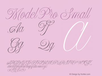 Model Pro Small Version 1.000图片样张