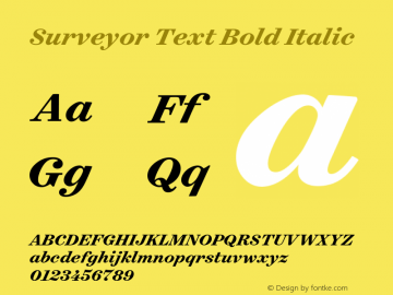 Surveyor Text Bold Italic Version 1.200 Pro Font Sample