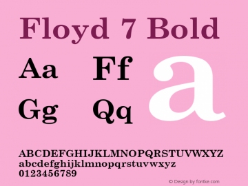 Floyd 7 Bold Version 1.00图片样张