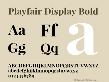 Playfair Display Bold Version 1.004;PS 001.004;hotconv 1.0.70;makeotf.lib2.5.58329; ttfautohint (v1.4.1) Font Sample