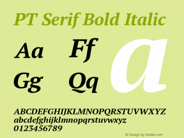 PT Serif Bold Italic Version 1.002; ttfautohint (v1.4.1)图片样张