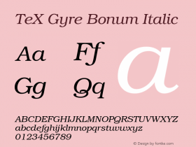 TeX Gyre Bonum Italic Version 1.103;PS 1.103;hotconv 1.0.49;makeotf.lib2.0.14853; ttfautohint (v1.4.1)图片样张