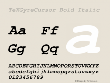 TeXGyreCursor Bold Italic Version 1.103;PS 1.103;hotconv 1.0.49;makeotf.lib2.0.14853; ttfautohint (v1.4.1) Font Sample