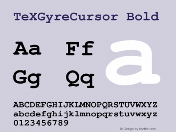 TeXGyreCursor Bold Version 1.103;PS 1.103;hotconv 1.0.49;makeotf.lib2.0.14853; ttfautohint (v1.4.1) Font Sample