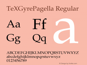 TeXGyrePagella Regular Version 1.103;PS 1.103;hotconv 1.0.49;makeotf.lib2.0.14853; ttfautohint (v1.4.1) Font Sample