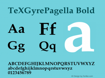 TeXGyrePagella Bold Version 1.103;PS 1.103;hotconv 1.0.49;makeotf.lib2.0.14853; ttfautohint (v1.4.1) Font Sample