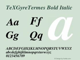 TeXGyreTermes Bold Italic Version 1.103;PS 1.103;hotconv 1.0.49;makeotf.lib2.0.14853; ttfautohint (v1.4.1) Font Sample