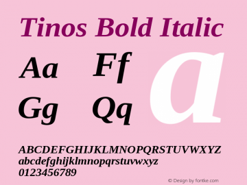 Tinos Bold Italic Version 1.23; ttfautohint (v1.4.1) Font Sample