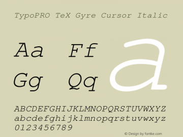 TypoPRO TeX Gyre Cursor Italic Version 2.004;PS 2.004;hotconv 1.0.49;makeotf.lib2.0.14853图片样张