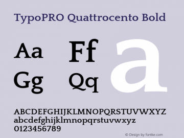 TypoPRO Quattrocento Bold Version 2.000 Font Sample