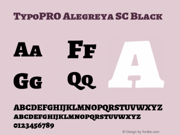 TypoPRO Alegreya SC Black Version 1.003图片样张