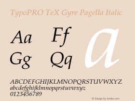 TypoPRO TeX Gyre Pagella Italic Version 2.004;PS 2.004;hotconv 1.0.49;makeotf.lib2.0.14853图片样张