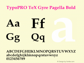 TypoPRO TeX Gyre Pagella Bold Version 2.004;PS 2.004;hotconv 1.0.49;makeotf.lib2.0.14853图片样张