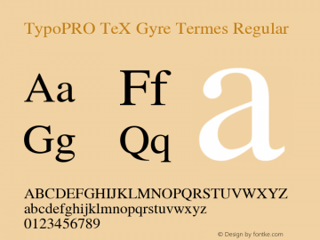 TypoPRO TeX Gyre Termes Regular Version 2.004;PS 2.004;hotconv 1.0.49;makeotf.lib2.0.14853 Font Sample