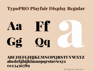 TypoPRO Playfair Display Regular Version 1.004;PS 001.004;hotconv 1.0.70;makeotf.lib2.5.58329; ttfautohint (v0.96) -l 42 -r 42 -G 200 -x 14 -w 