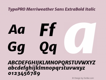 TypoPRO Merriweather Sans ExtraBold Italic Version 1.000图片样张