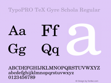 TypoPRO TeX Gyre Schola Regular Version 2.005;PS 2.005;hotconv 1.0.49;makeotf.lib2.0.14853图片样张