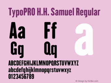 TypoPRO H.H. Samuel Regular Version 1.009 Font Sample