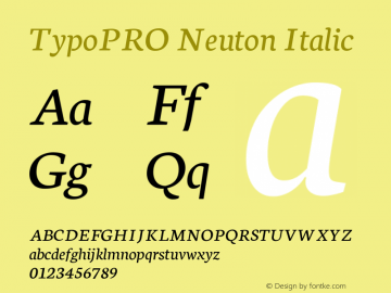 TypoPRO Neuton Italic Version 1.46图片样张