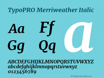 TypoPRO Merriweather Italic Version 1.5; ttfautohint (v0.97) -l 13 -r 13 -G 200 -x 24 -f dflt -w 