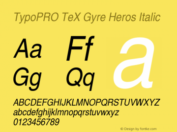 TypoPRO TeX Gyre Heros Italic Version 2.004;PS 2.004;hotconv 1.0.49;makeotf.lib2.0.14853图片样张