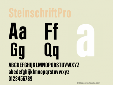 SteinschriftPro ☞ Version 1.0;com.myfonts.easy.rmu.steinschrift-pro.regular.wfkit2.version.4tSo图片样张