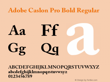 Adobe Caslon Pro Bold Regular OTF 1.009;PS 001.000;Core 1.0.27;makeotf.lib1.3.1 Font Sample