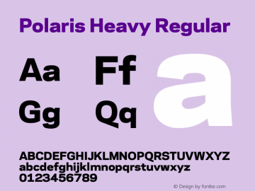 Polaris Heavy Regular 3.510图片样张
