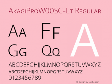 AkagiProW00SC-Lt Regular Version 1.1 Font Sample