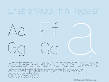 EnablerW00-Thin Regular Version 1.0图片样张