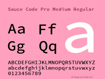 Sauce Code Pro Medium Regular Version 2.010;PS 1.000;hotconv 1.0.84;makeotf.lib2.5.63406 Font Sample