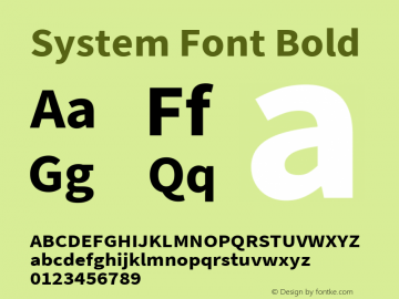 System Font Bold Version 2.010;PS Version 2.0;hotconv 1.0.78;makeotf.lib2.5.61930图片样张